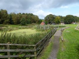 Pond on Millennium Green at Lumb